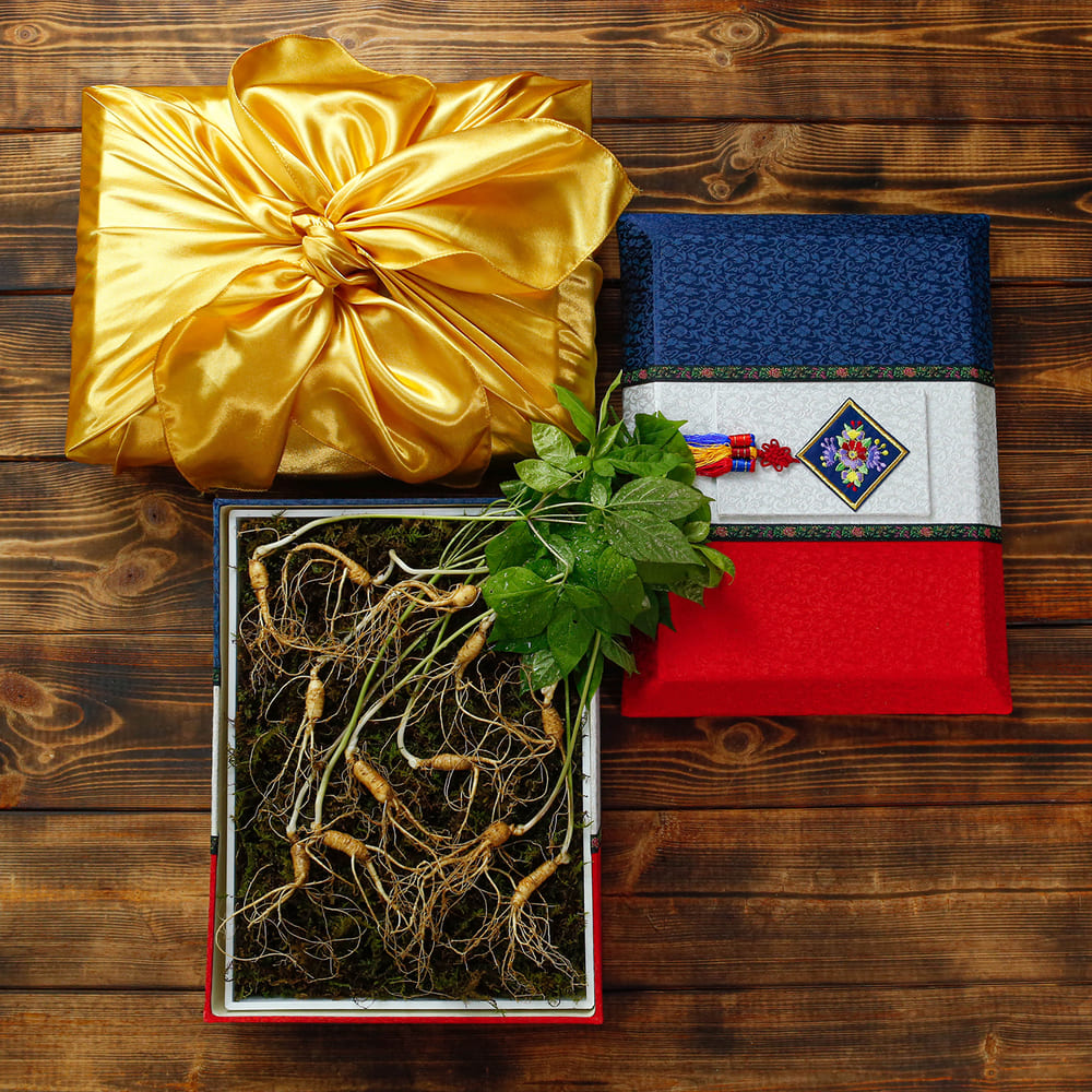 [소문난맛집 한정판][고급포장]강원도 토종 오리지널 산양삼 산양산삼 에디션 S12 명절 선물세트[5-6년근 12뿌리]