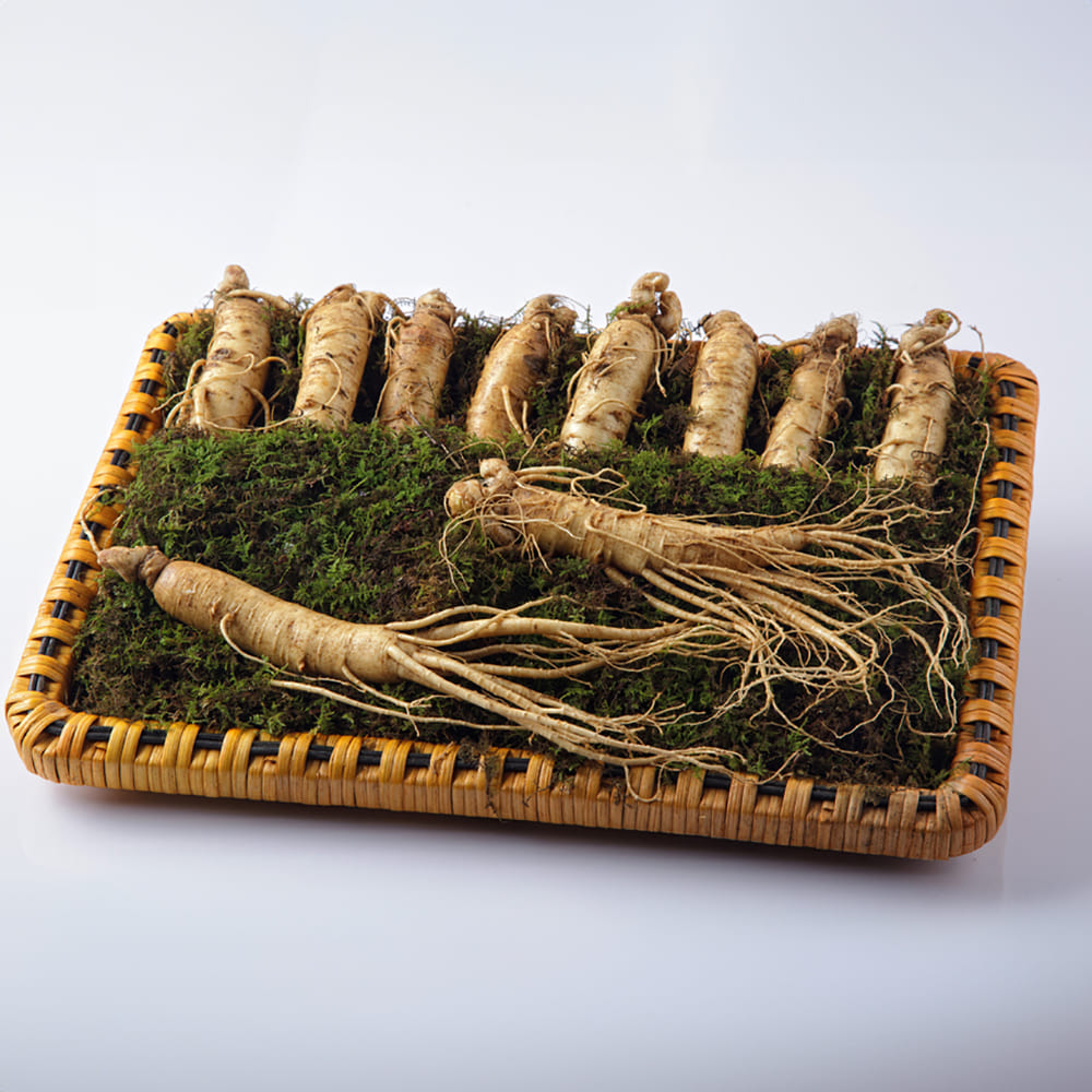 [소문난맛집 한정판][고급포장] 토종 오리지널 금산 수삼 에디션 S1 명절 선물세트 [수삼 800g (13-16편내)]