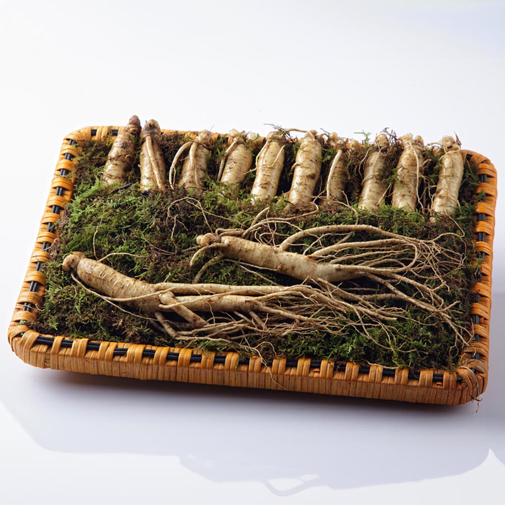 [소문난맛집 한정판][고급포장] 토종 오리지널 금산 수삼 에디션 S2 명절 선물세트 [수삼 550g (10-13편내)]