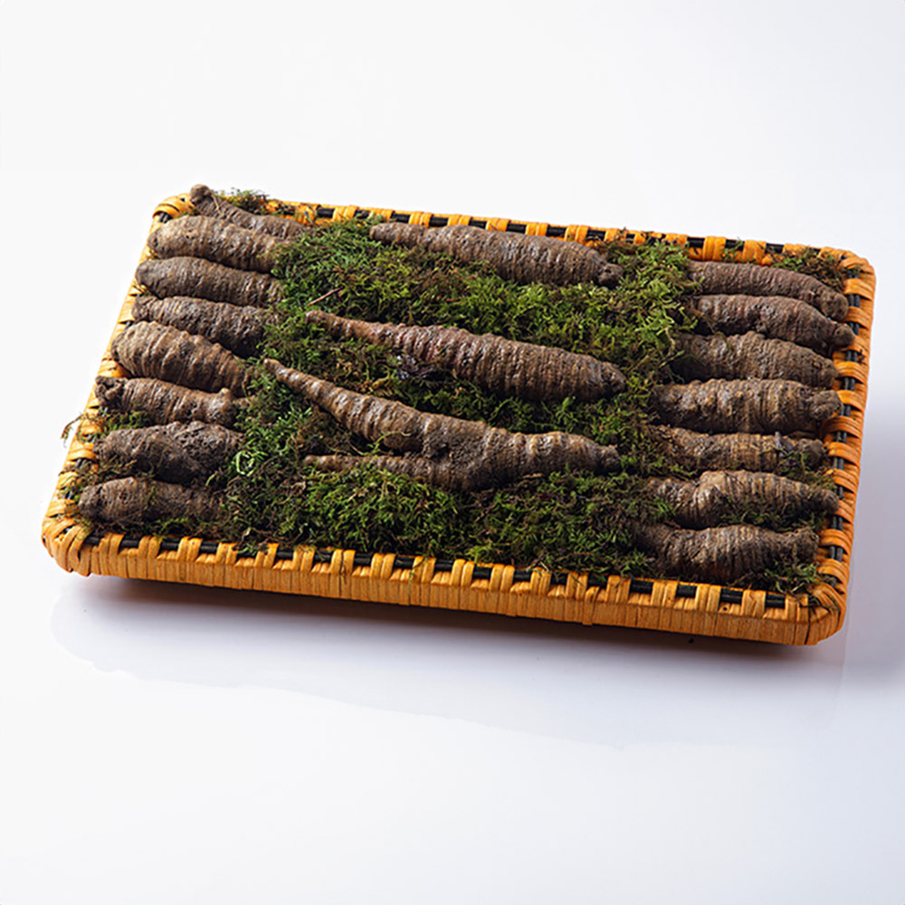 [소문난맛집 한정판][고급포장] 토종 오리지널 더덕 에디션 S1 명절 선물세트 [더덕 800g (특상)