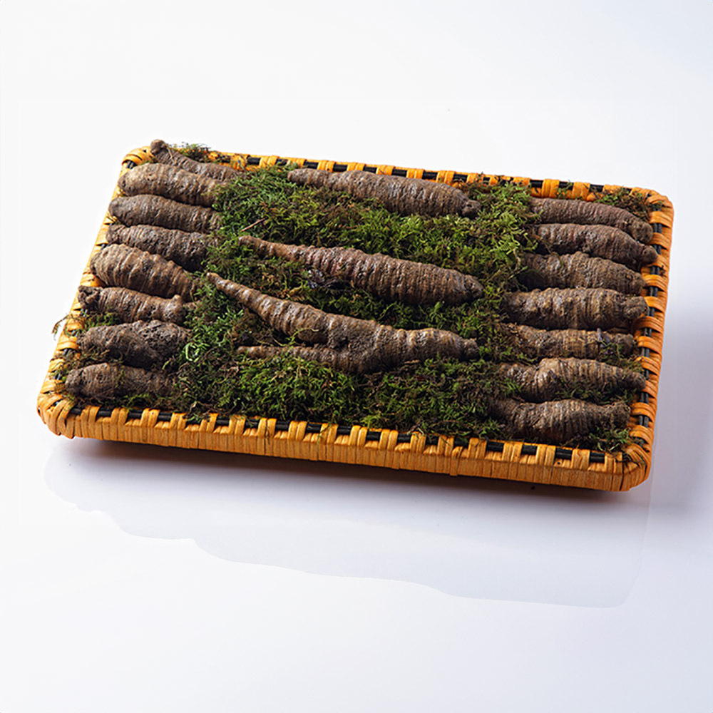 [소문난맛집 한정판][고급포장] 토종 오리지널 더덕 에디션 S2 명절 선물세트 [더덕 550g (특상)