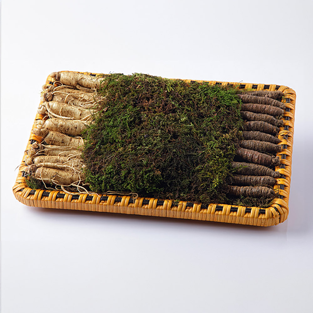 [소문난맛집 한정판][고급포장] 토종 오리지널 더덕 수삼 에디션 S2 명절 선물세트 [더덕 450g+수삼 450G (900G)