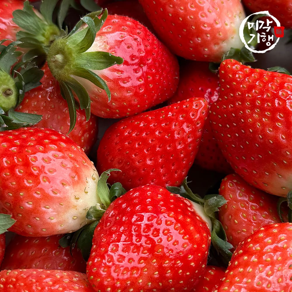 [미각기행] 논산 고당도 프리미엄 킹스베리 왕특 400g(10-13과 내외)