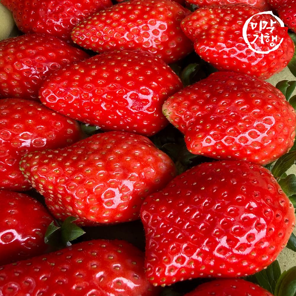 [미각기행] 논산 고당도 프리미엄 킹스베리 특 400g(8-9과 내외)