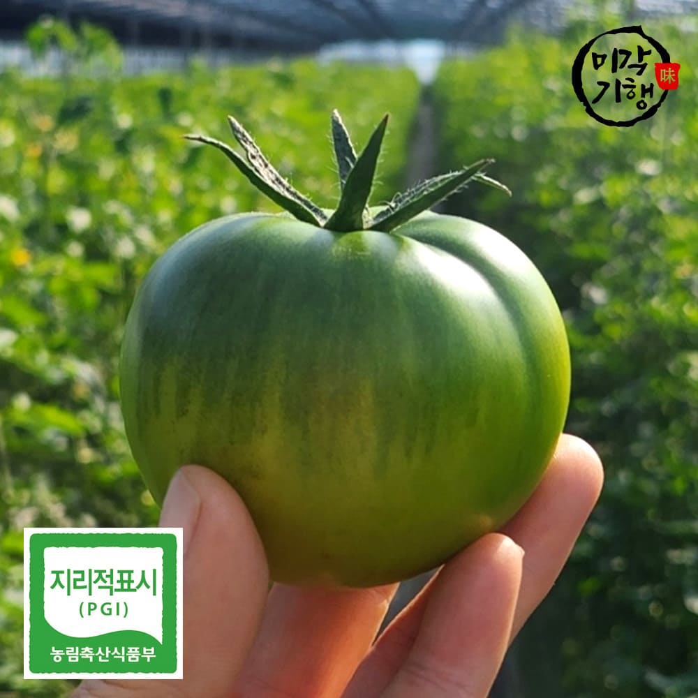 [미각기행] 농장직송 당일수확 프리미엄 정품 대저 짭짤이 토마토 (L-2L) 2.5kg