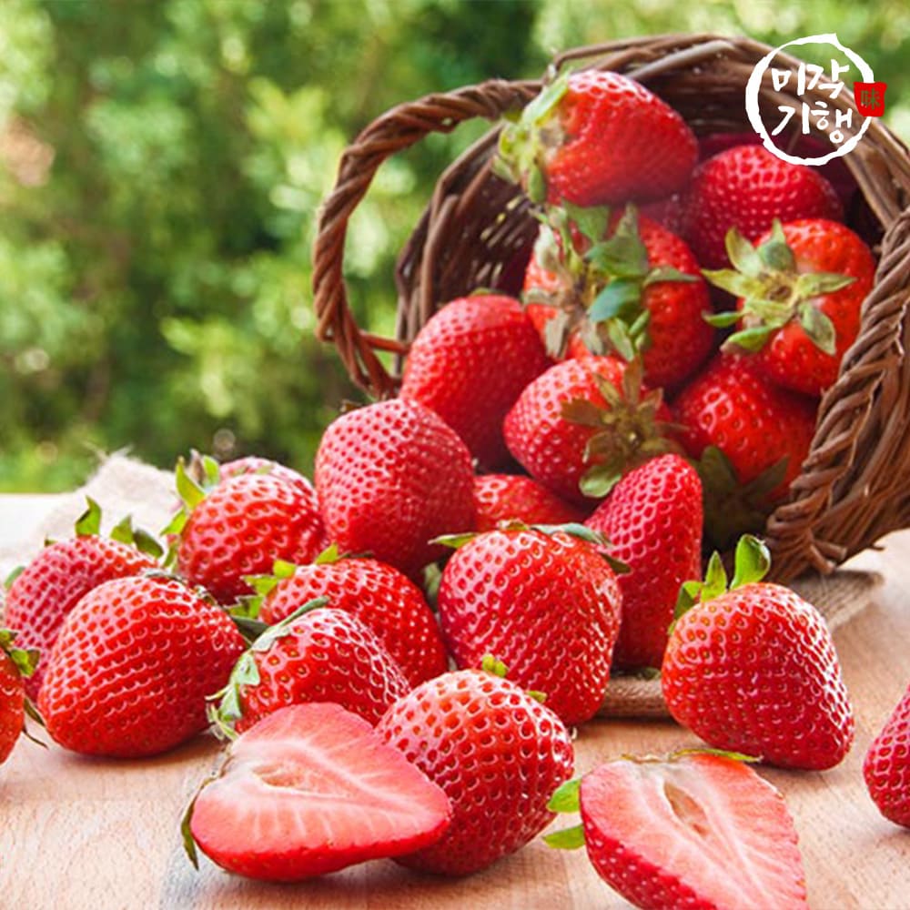 [미각기행] 경북 고령 높은 당도의 고령 설향딸기 중과(상) 700g 40과