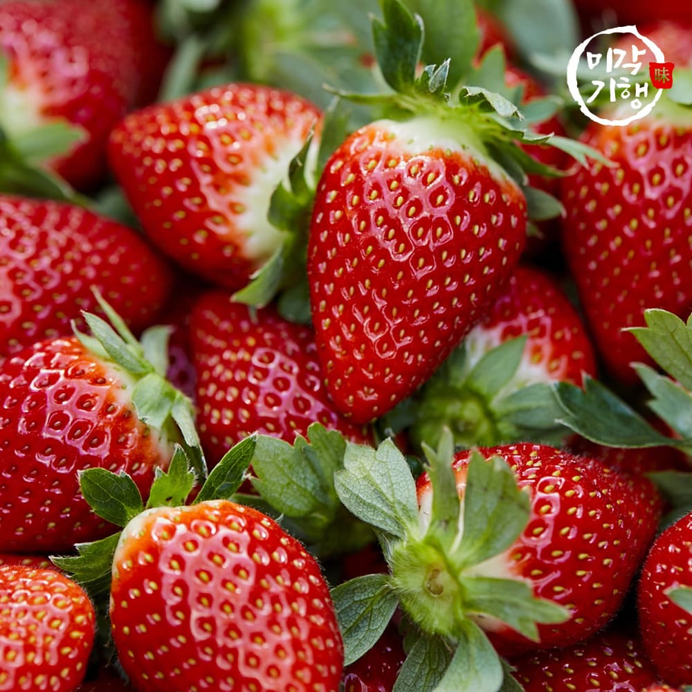 [미각기행] 경북 고령 높은 당도의 고령 설향딸기 대과(특) 700g 30과