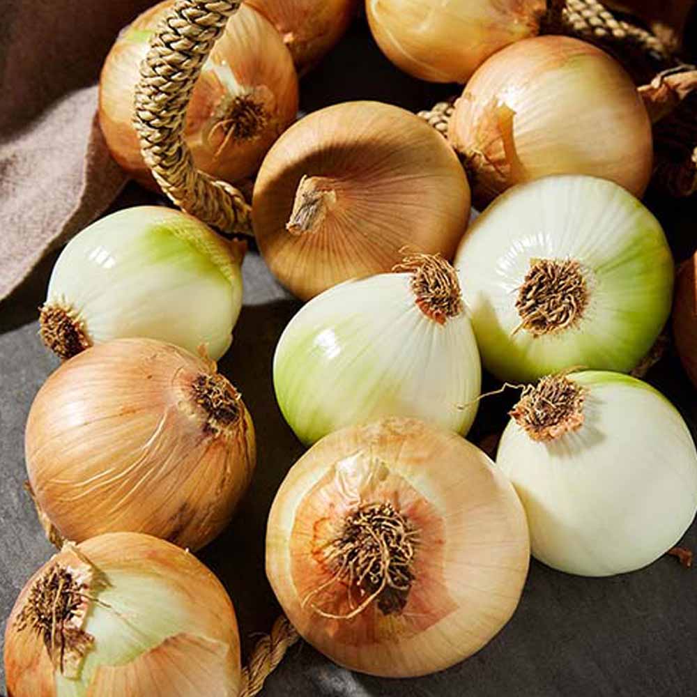 [흙이음] 국내산 단단한 양파 5kg / 대