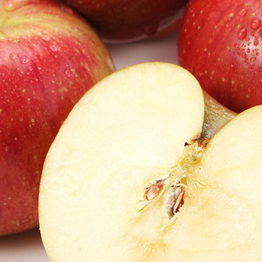 [흙이음] 부사사과 가정용 B급 중소과 10kg (40~60과내외)