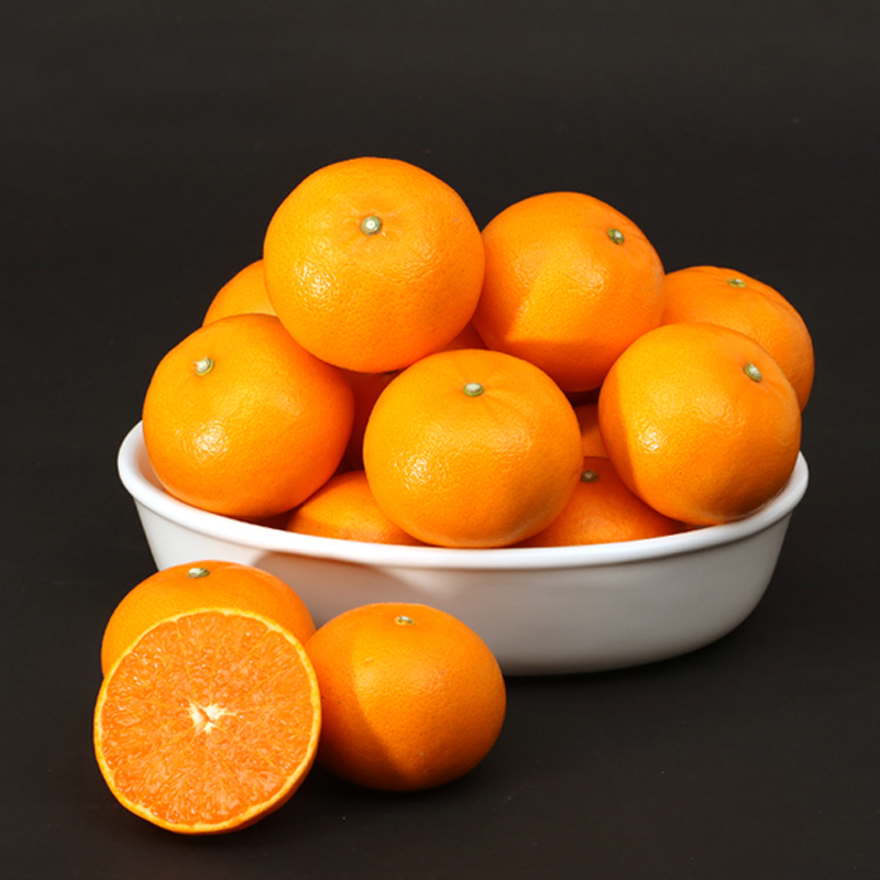 제주하우스 벨롱벨롱 제주 천혜향 선물세트 4.5kg (23과 내외)