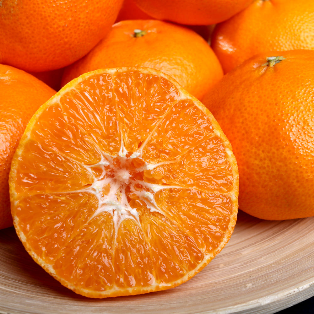 제주하우스 제주 레드향 선물세트 3kg 중과(11~15과)