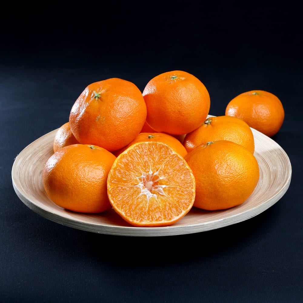 제주하우스 제주 레드향 선물세트 5kg 로얄과(15~20과)