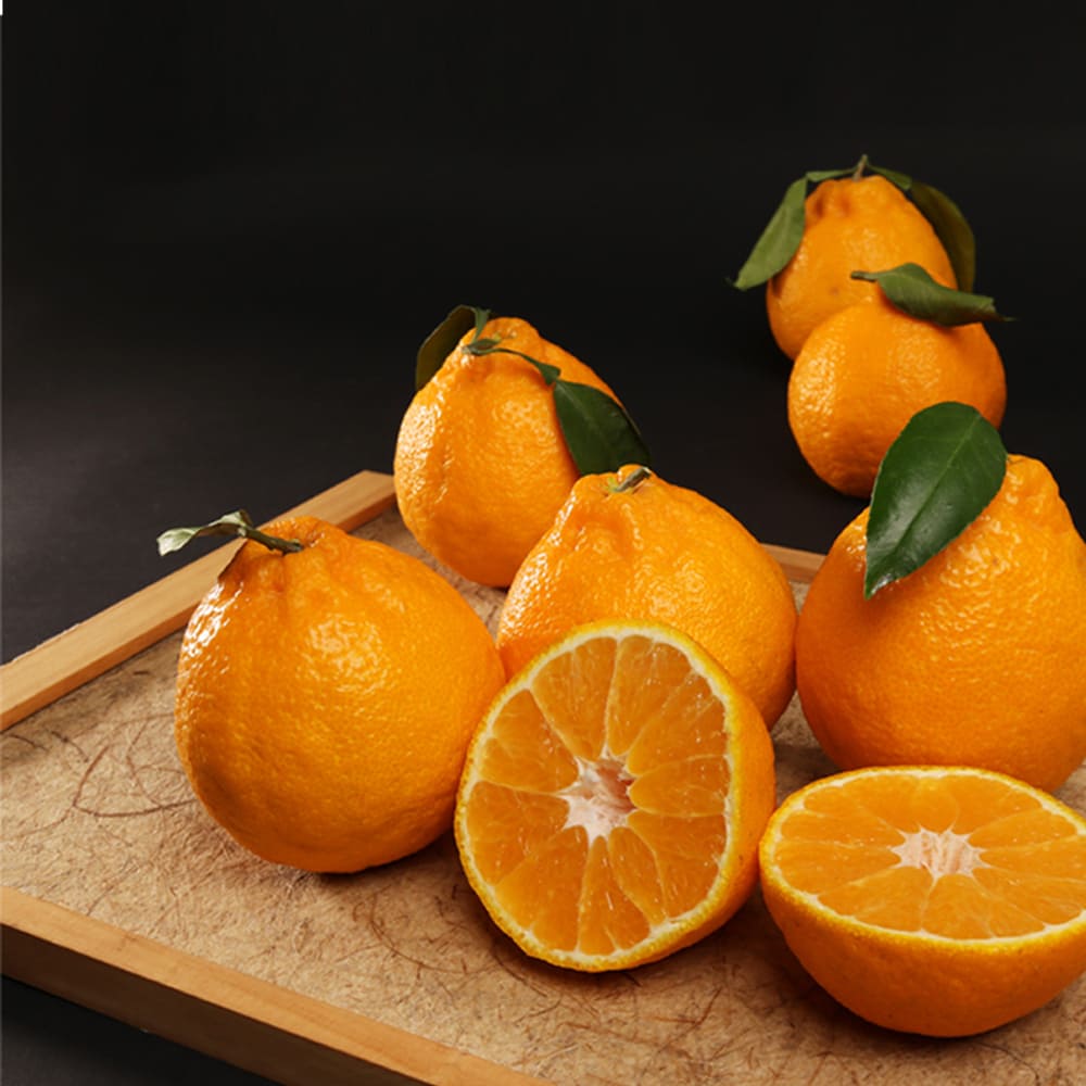 제주하우스 벨롱벨롱 제주 한라봉 선물세트 4.5kg (20과 내외)