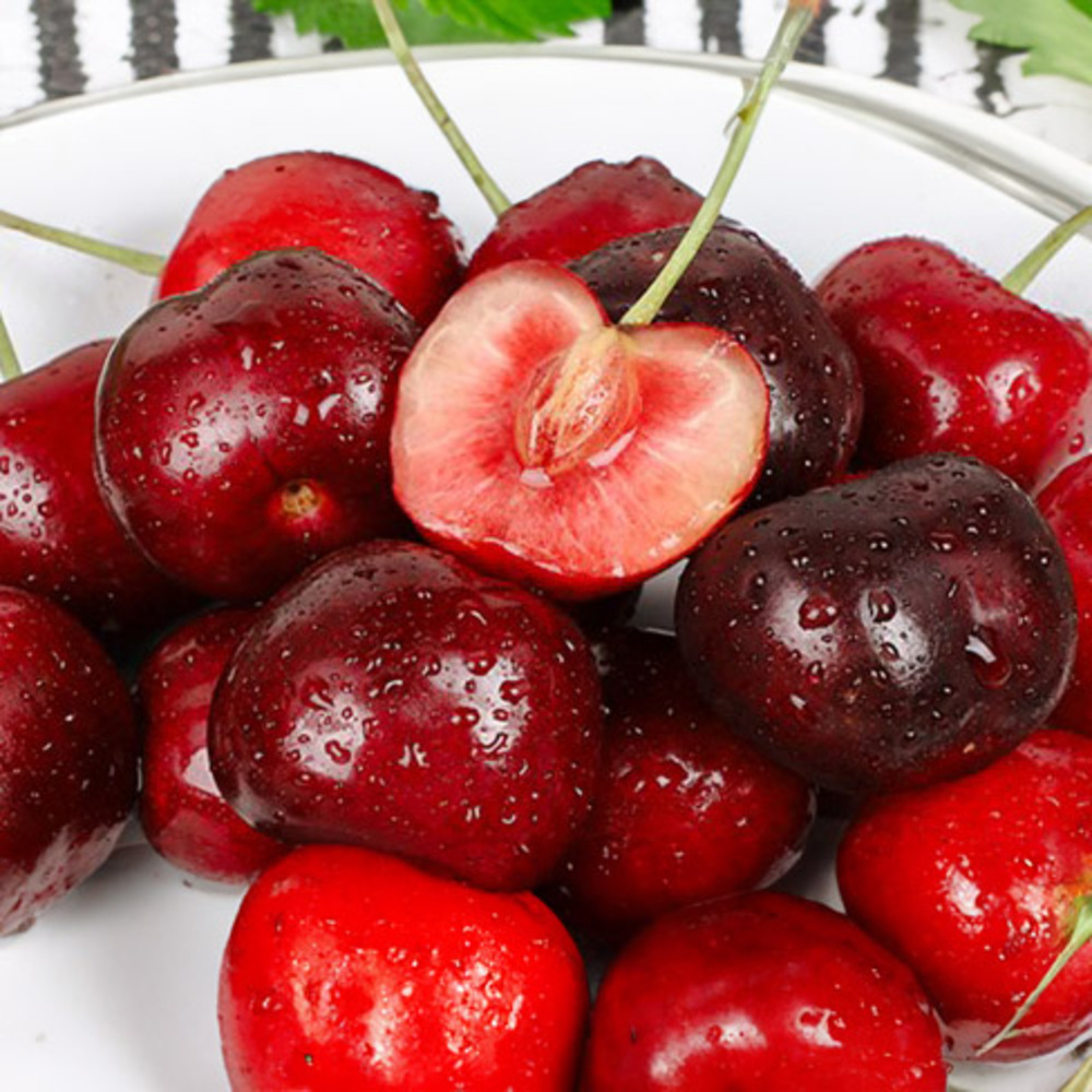 [청년농가] 새콤달콤 칠레 생 체리(대과) 체리 1.5kg(9.5row)