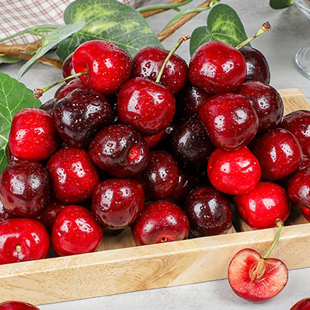 [청년농가] 새콤달콤 칠레 생 체리(대과) 체리 2kg(9.5row)