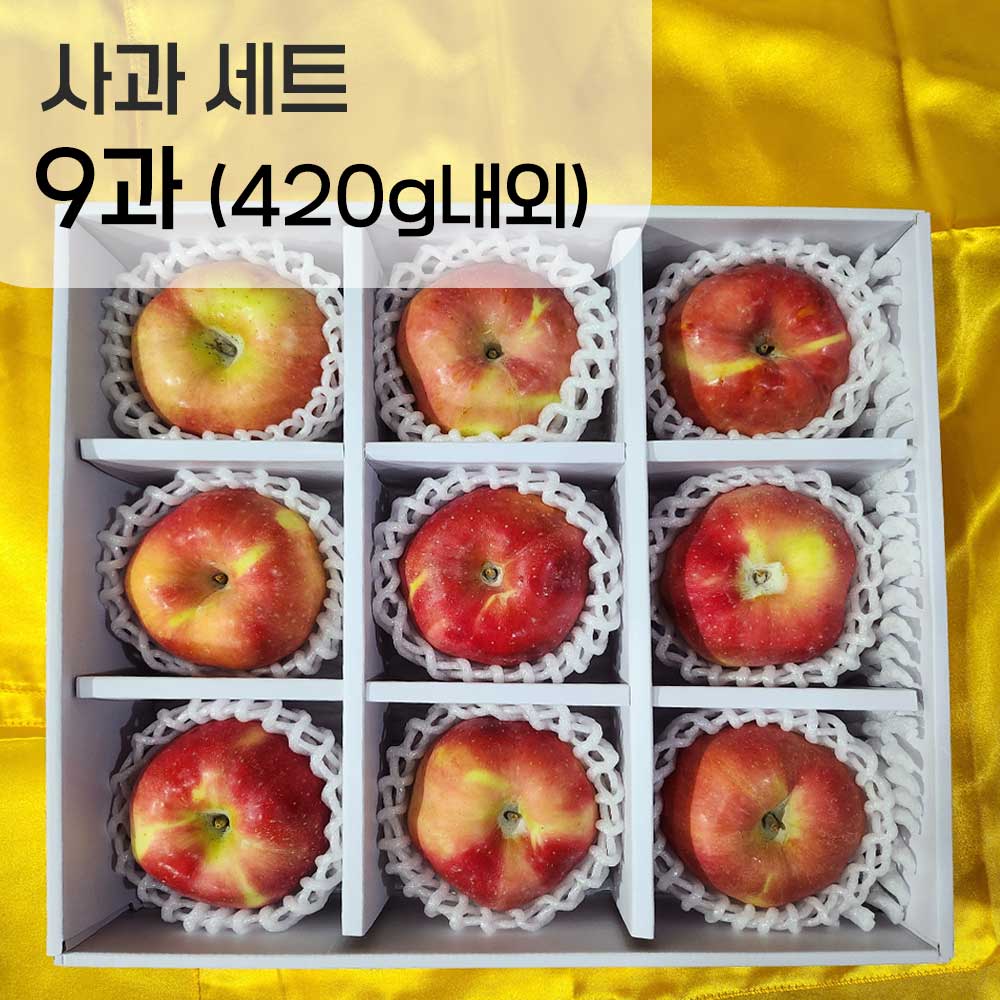 사과 9과 420g내외