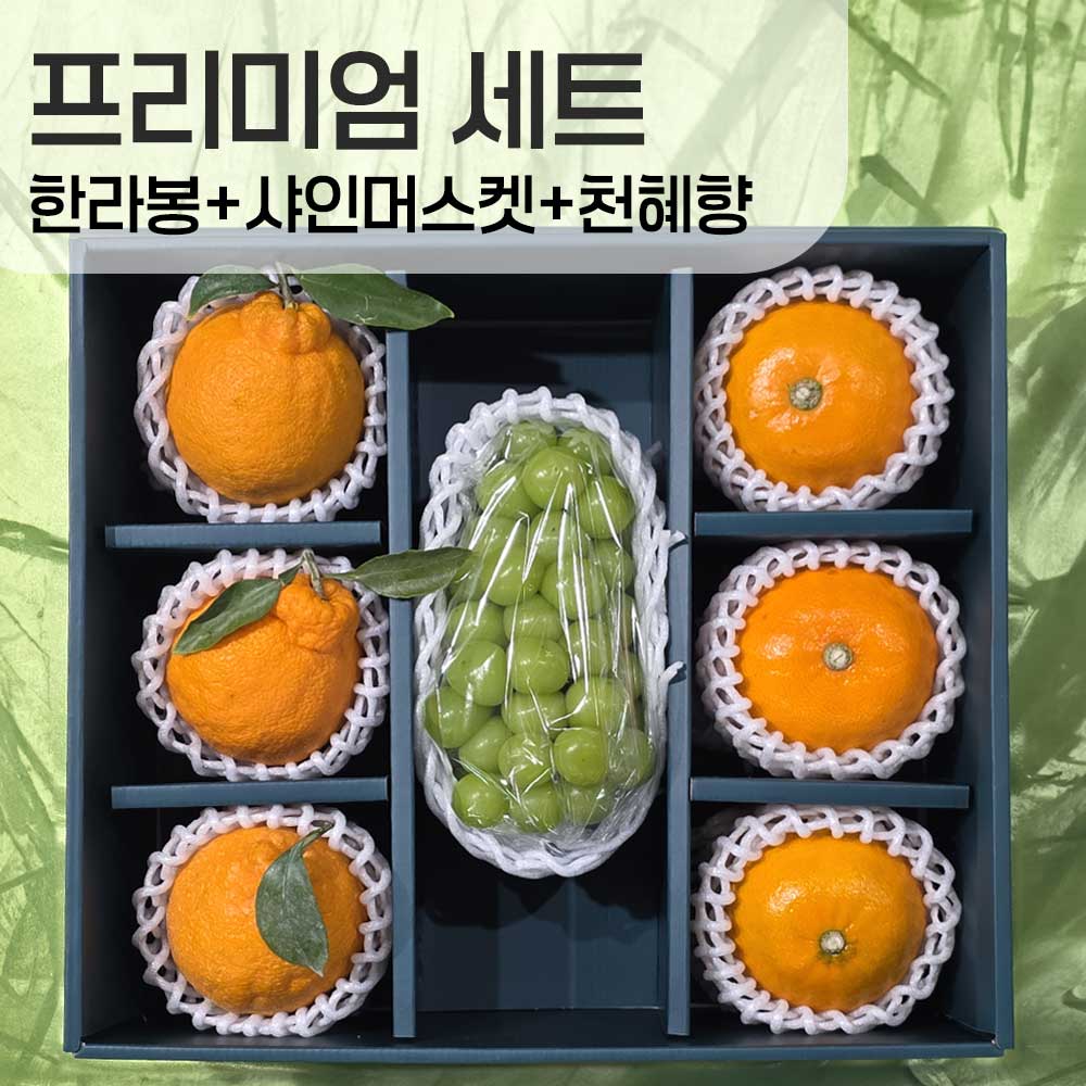 천혜향3과 + 샤인머스캣1 + 한라봉3과