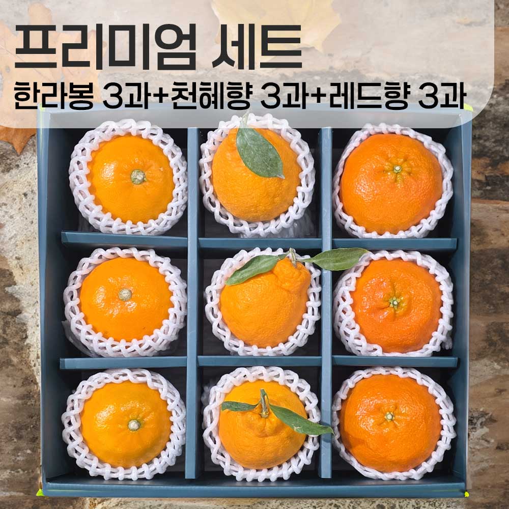 한라봉3+천혜향3+레드향3