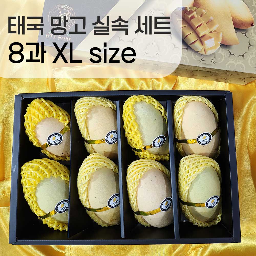 태국 망고 8과 XL 실속