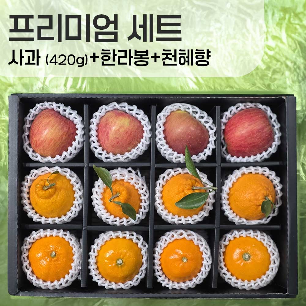 한라봉4과+사과4과(대) 420g내외+천혜향4과