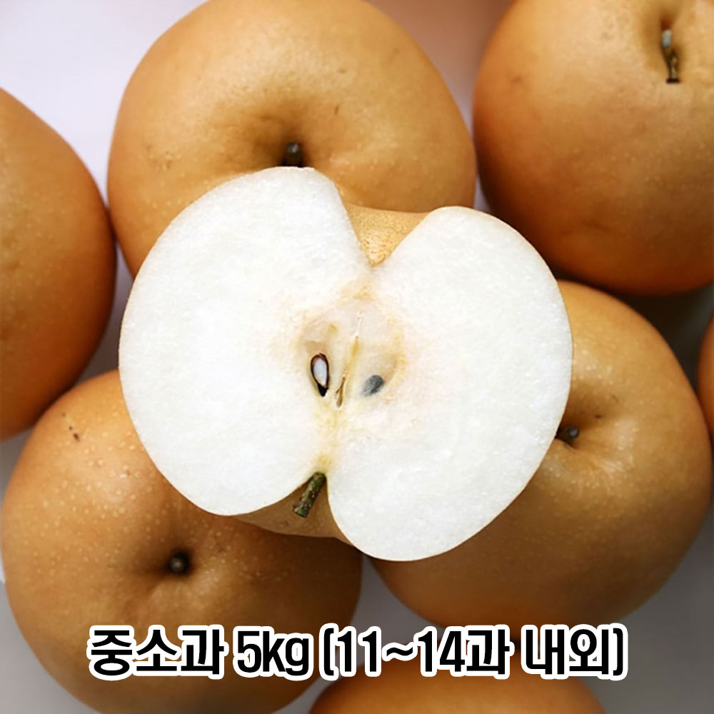 100% 국내산 과즙폭발!! 아삭시원한 ★옥황 가정용 햇 배 중소과 5kg (11~14과 내외)