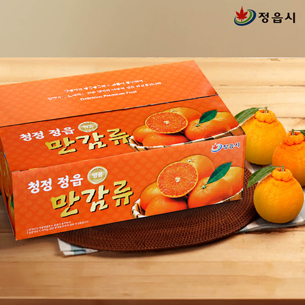 [단이와풍이] 정읍 한라봉(육지봉) 2kg/13과내외
