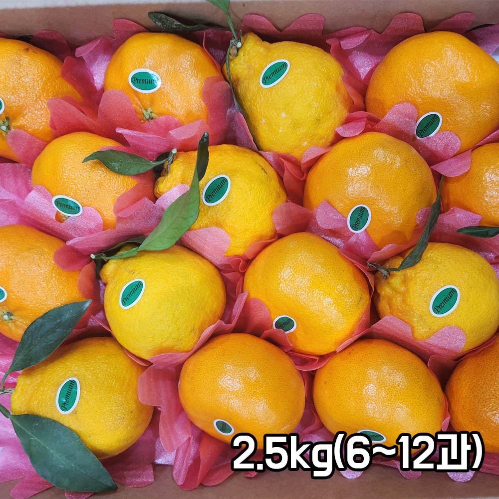 [제주특품] 만감류 혼합선물세트 2.5kg(6~12과)