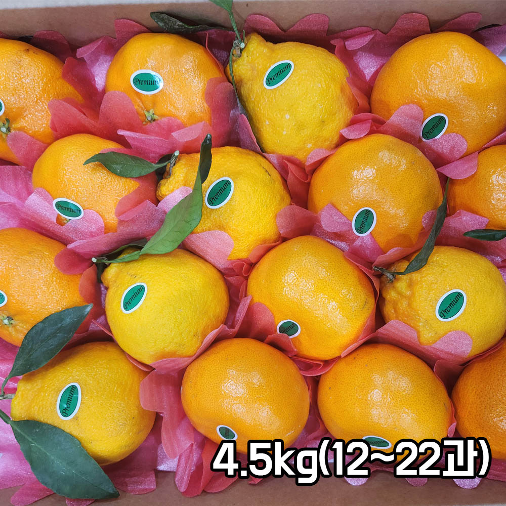 [제주특품] 만감류 혼합선물세트 4.5kg(12~22과)