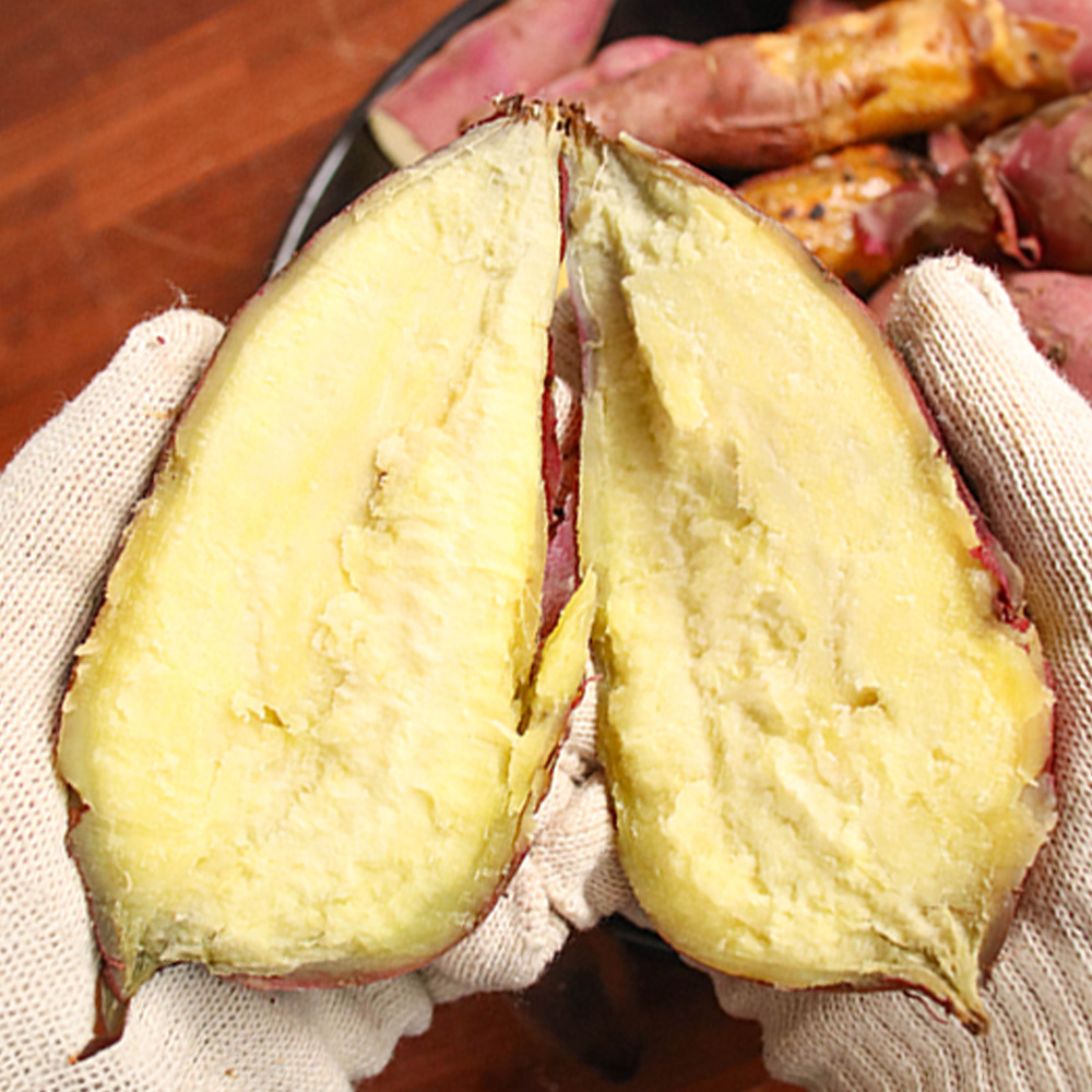 베니하루카 세척 꿀고구마 중 5kg