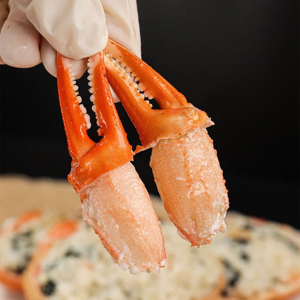 26년 가격파괴 황제탱글살 자숙홍게 4kg (다리수율 90%) 8~12마리 내외