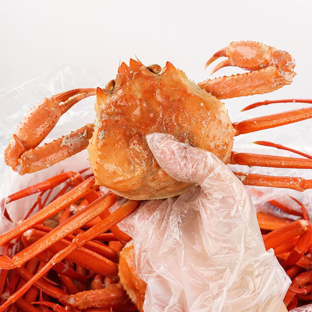 26년 가격파괴 황제탱글살 자숙홍게 5kg (다리수율 90%) 12~15마리 내외