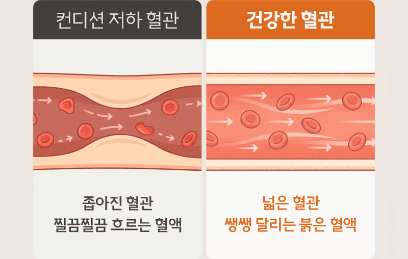 chu-2.gif