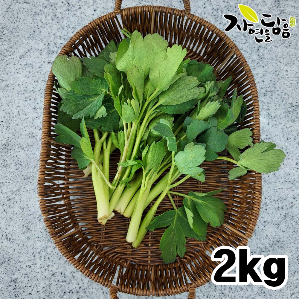 [자연을담음] 해풍맞은 노지 방풍나물 2kg
