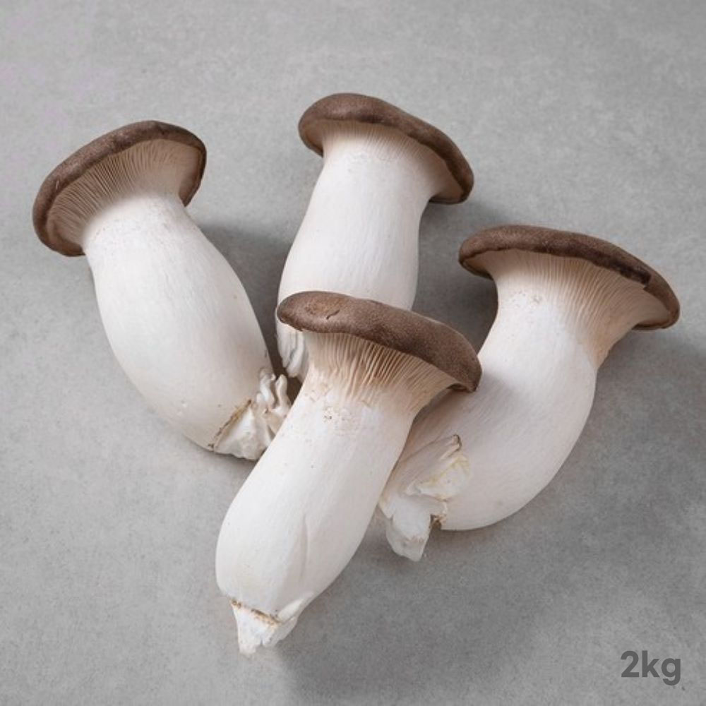 [경매선별농산물] 새송이버섯 2KG