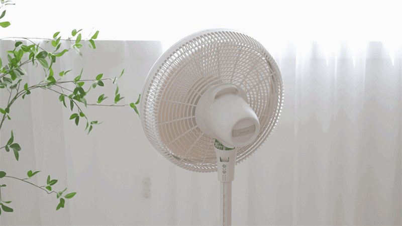 gnin-d5-11.gif