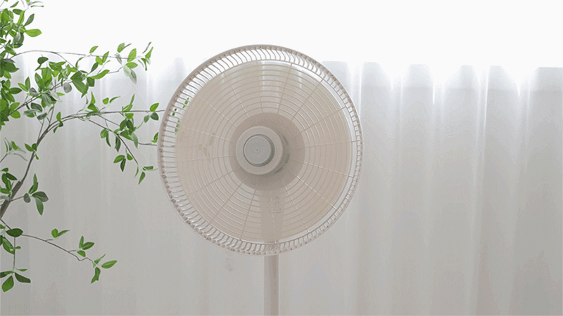 gnin-d5-7.gif