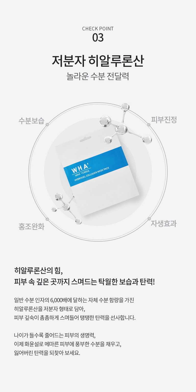 bs-hys09-d7.jpg