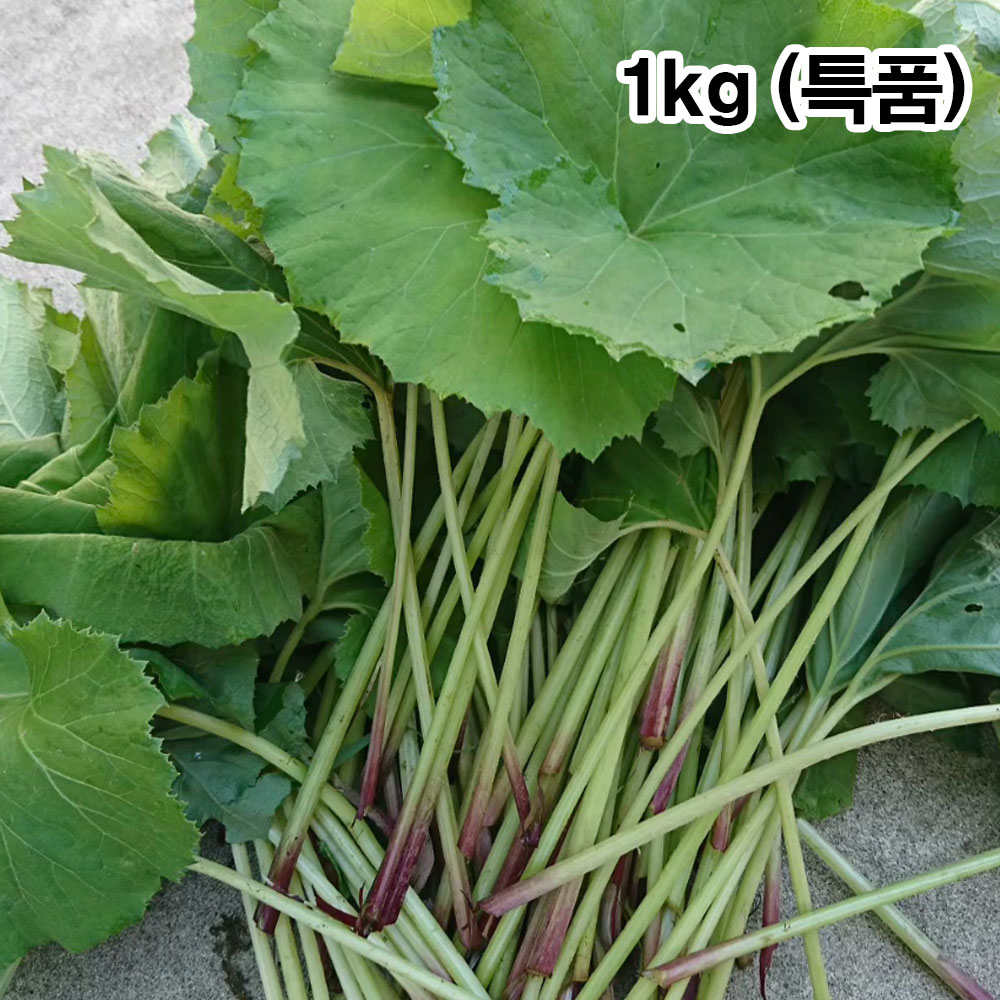 [선별발송] 국산 생 머위잎 1kg (특품)