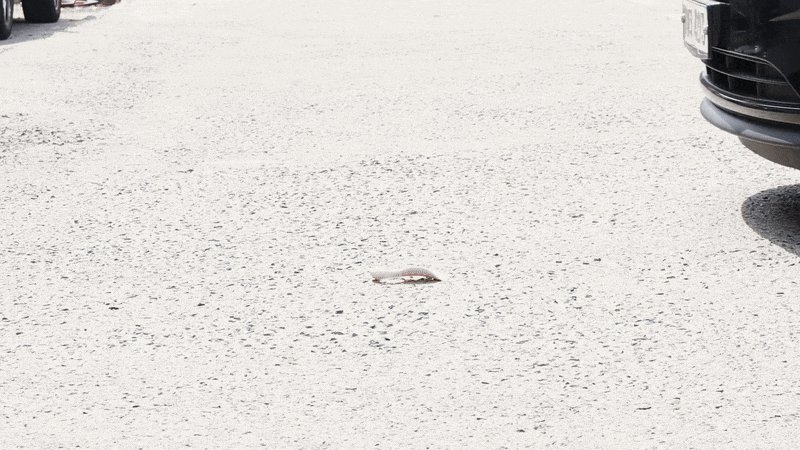 do03-p14.gif