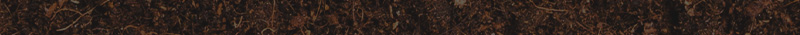 ev05-p03.jpg