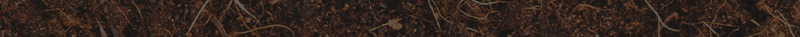 ev05-p05.jpg