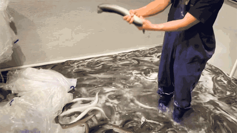 ss01p01.gif
