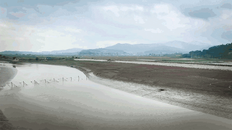 ss01p05.gif