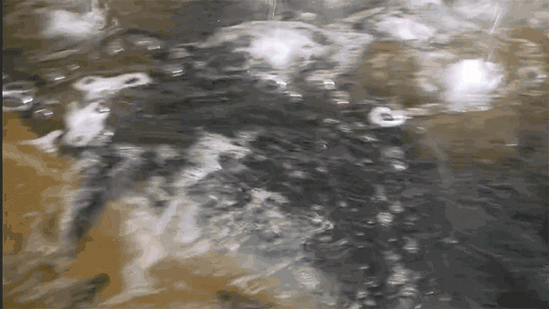 ss01p12.gif