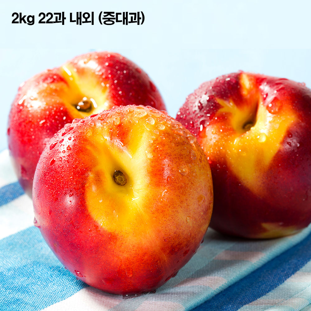2주만 맛보는 단물줄줄 백도 신비복숭아2kg 22과 내외 (중대과)