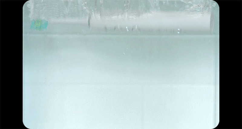 444007_8.gif