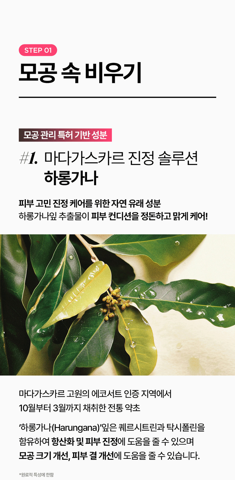 [론지] Pink Apple Pure Foam Cleanser 100ml (Pink Apple Pure Foam Cleanser)