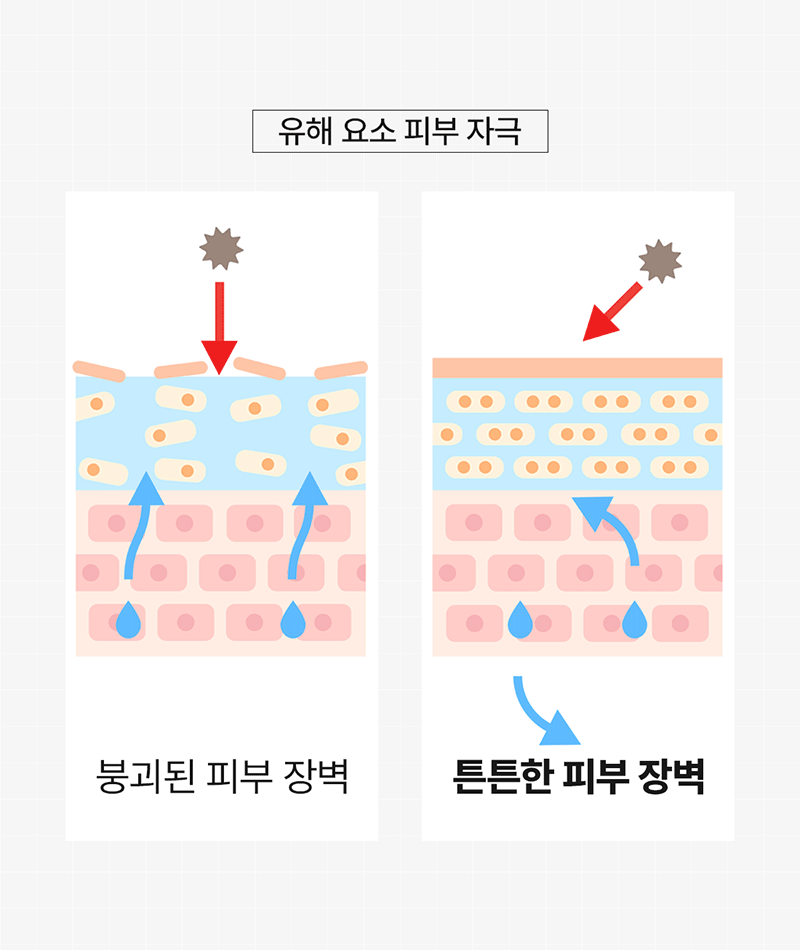 [Lonji] Cica Ceramide Cream 50g