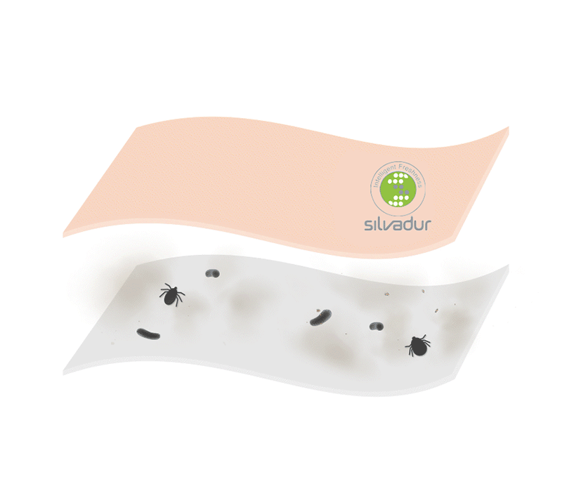 st-mb01-d21-1.gif