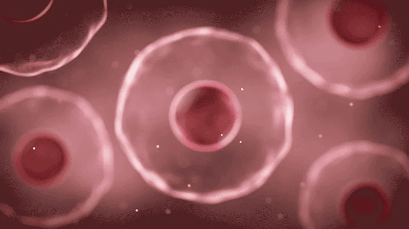 topsg-d1-4.gif